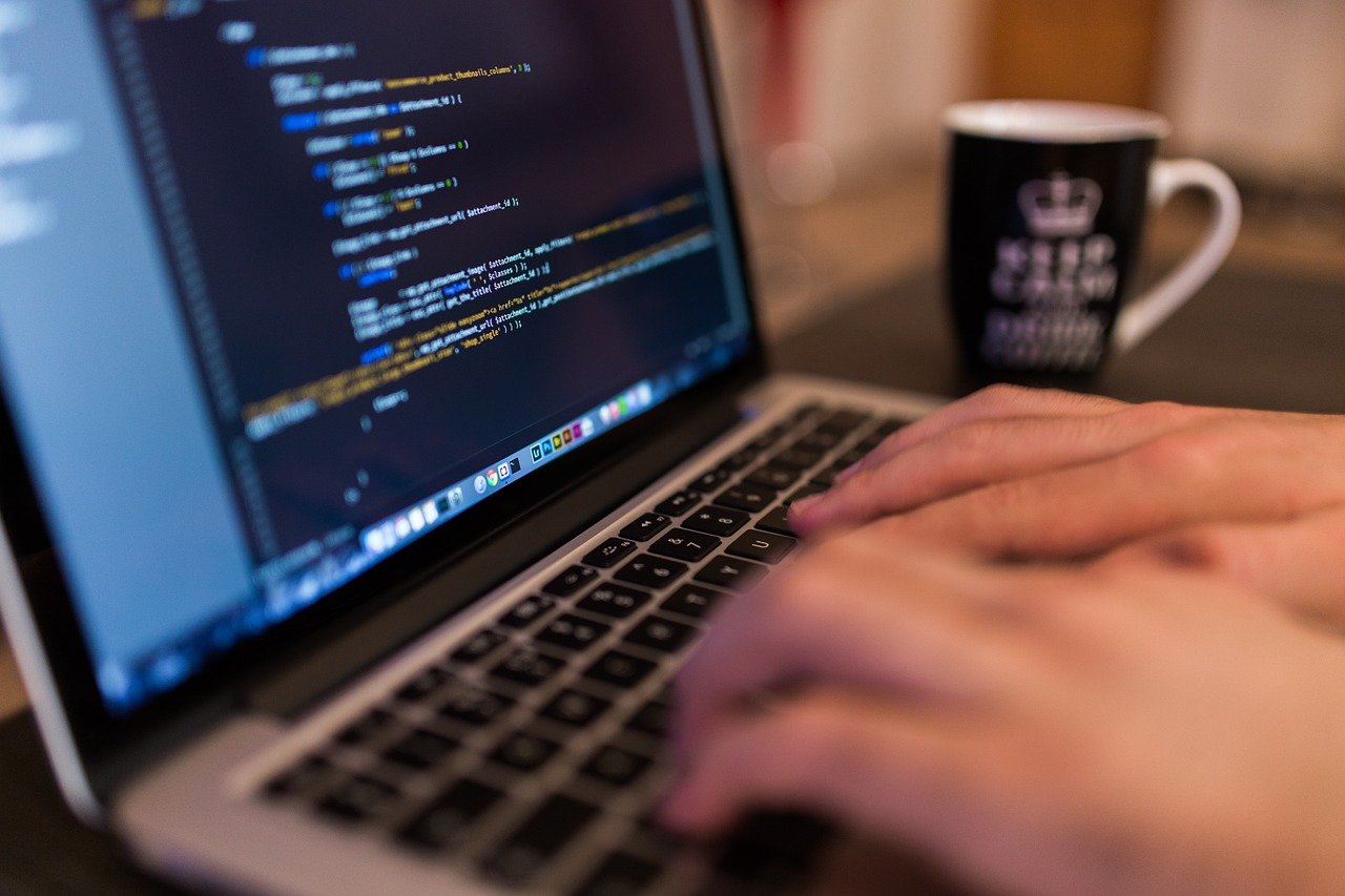 WordPress programista